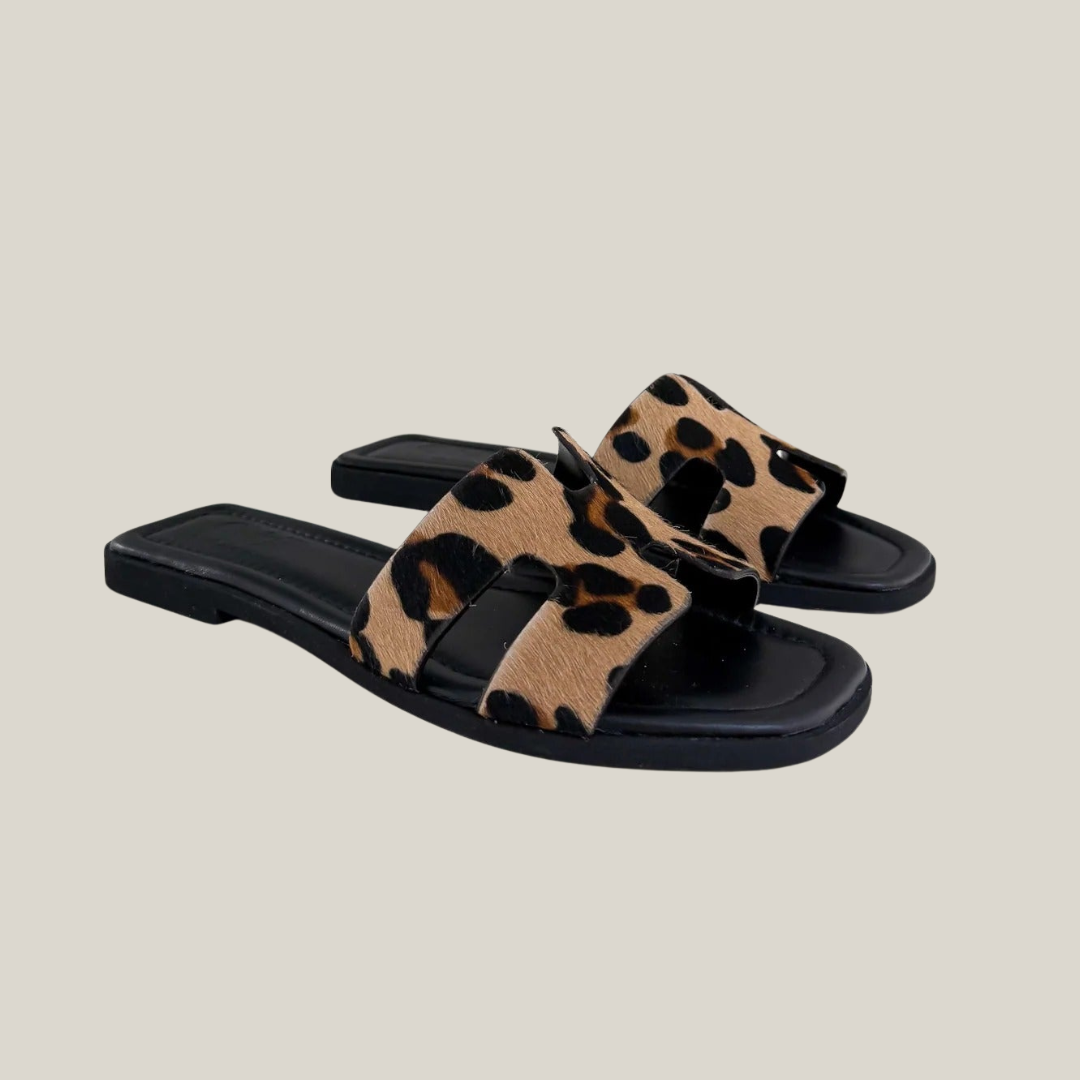 ARIS | EDIZIONE LIMITATA